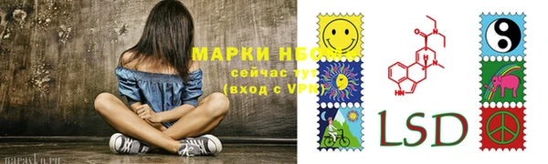 гидра Михайловск