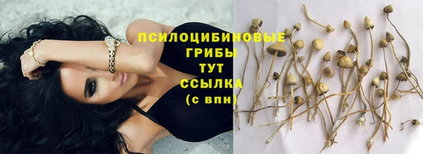 гидра Михайловск