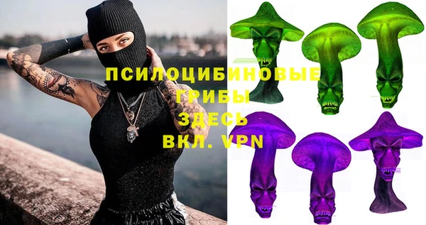 гидра Михайловск