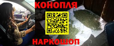 шишки Апшеронск