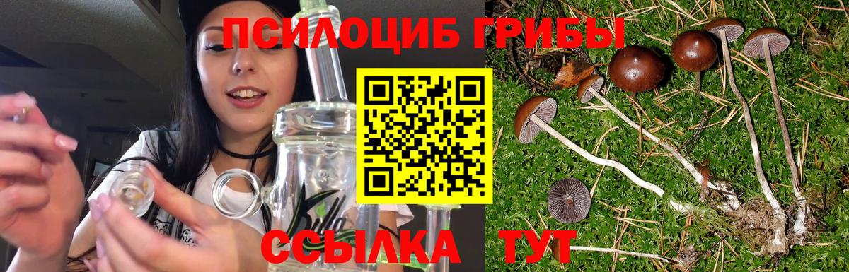 Псилоцибиновые грибы Magic Shrooms  Пушкино 