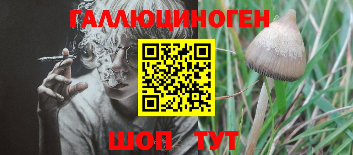 Псилоцибиновые грибы ЛСД Пушкино