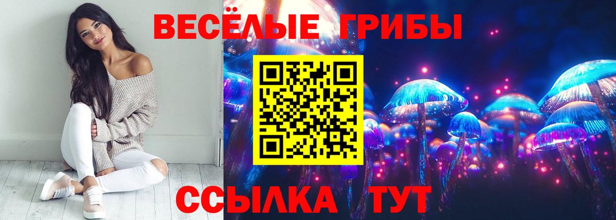 Галлюциногенные грибы Psilocybine cubensis  что такое наркотик  Пушкино  Вход с VPN 