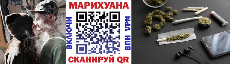 где купить   Пушкино  Бошки марихуана ГИДРОПОН 