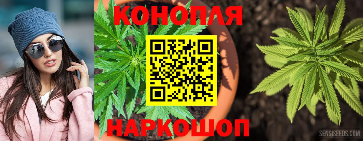 Бошки Шишки THC 21% Пушкино